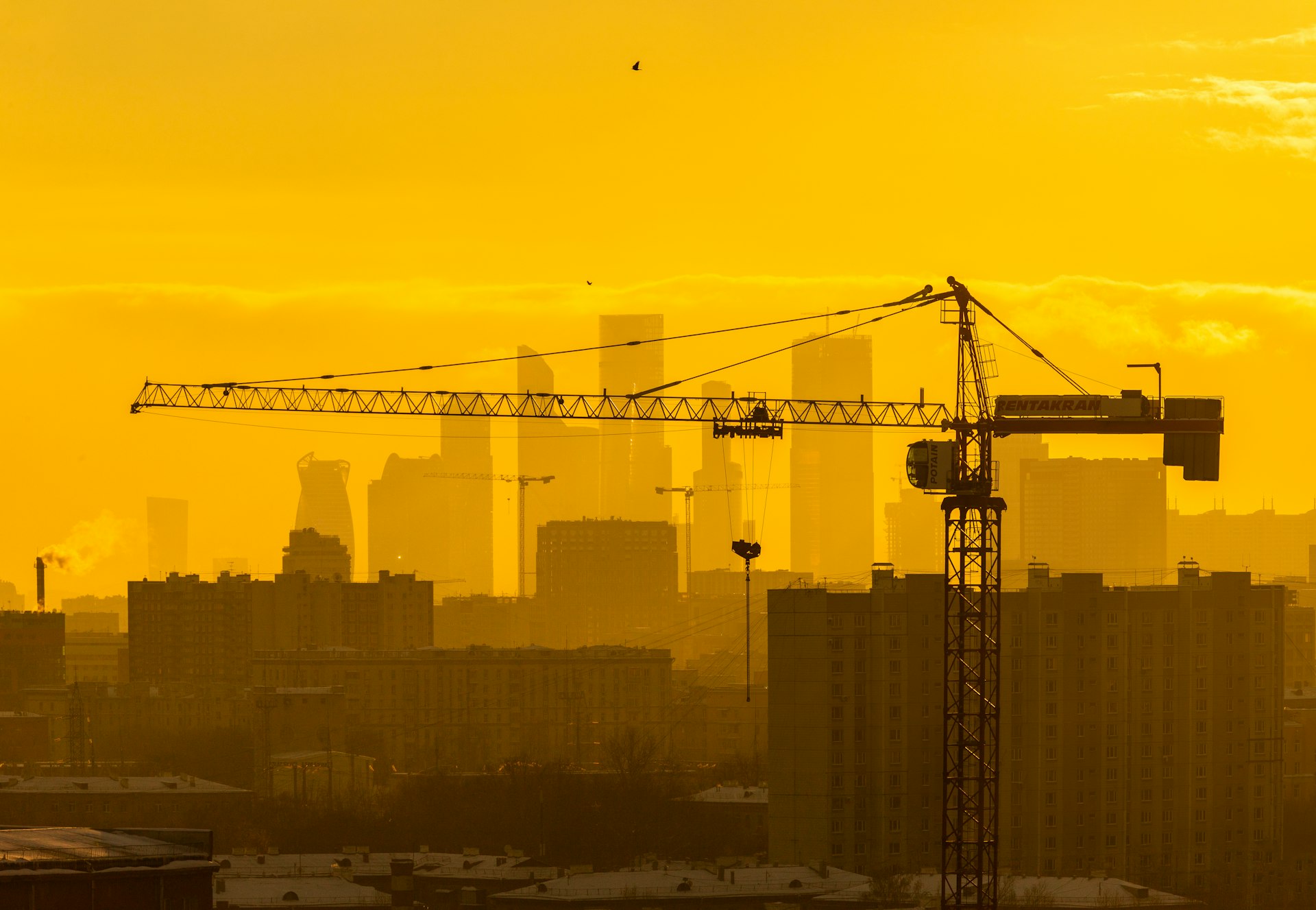 a crane is standing in front of a city skyline
